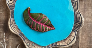 國吉真由美 期間限定ショップ[2026年 3月20日(金祝)～3月26日(木)]